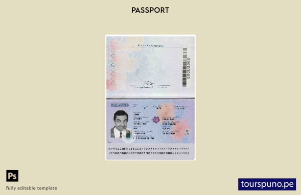 Plantilla de pasaporte de Malasia ( presente) lista para imprimir